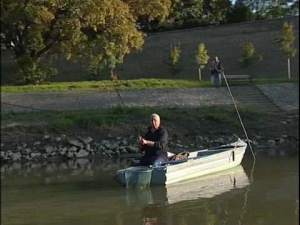 Győr a sokszínű város