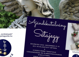 Sétajegy vagy idegenvezető ajándékba